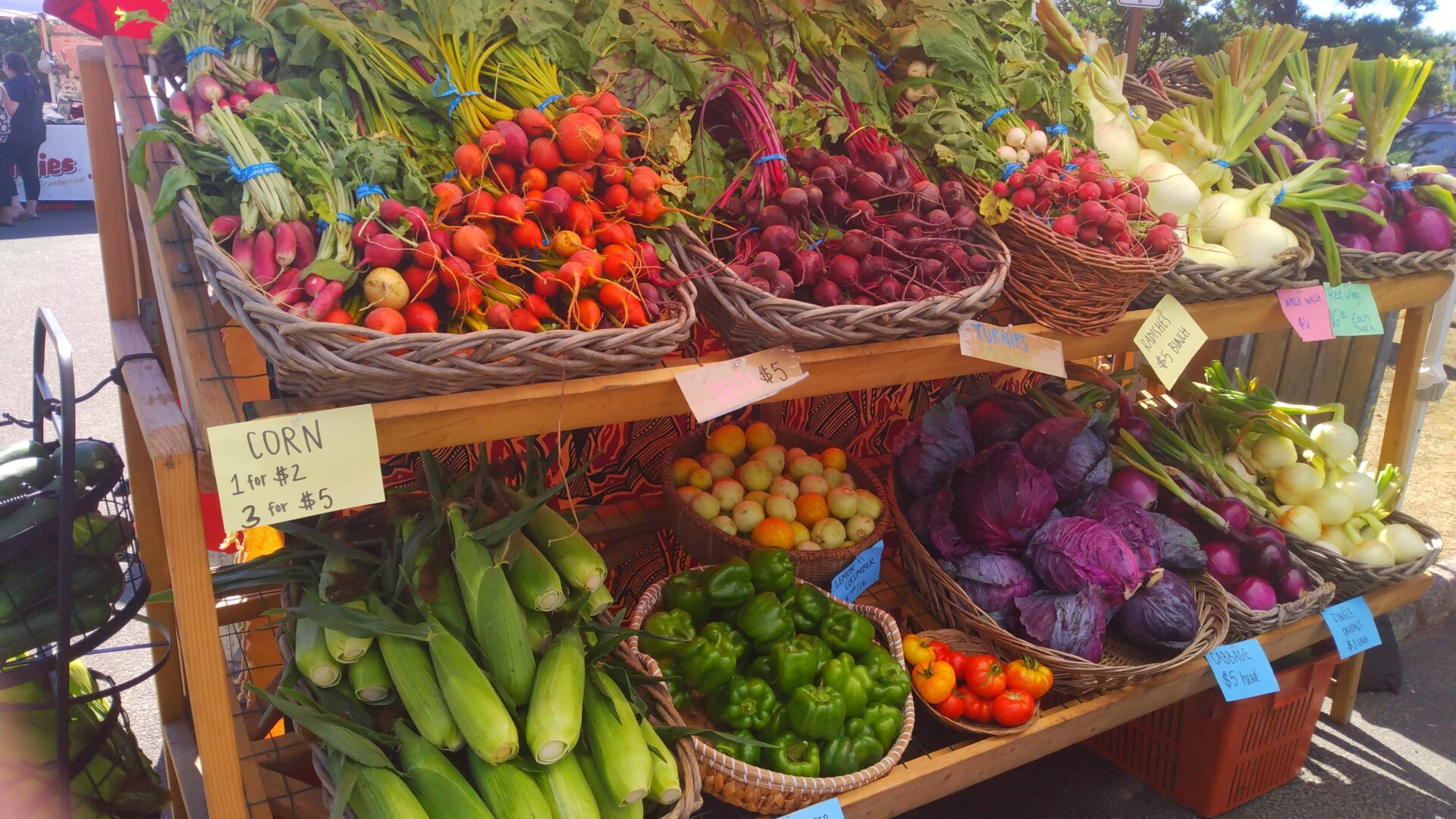 IMG_20220906_140957782