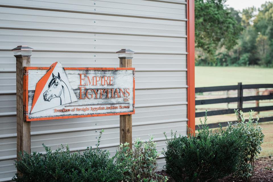 A white and orange sign with a horse head reading Empire Egyptians