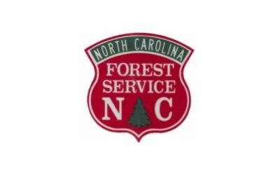 Forestry Corner