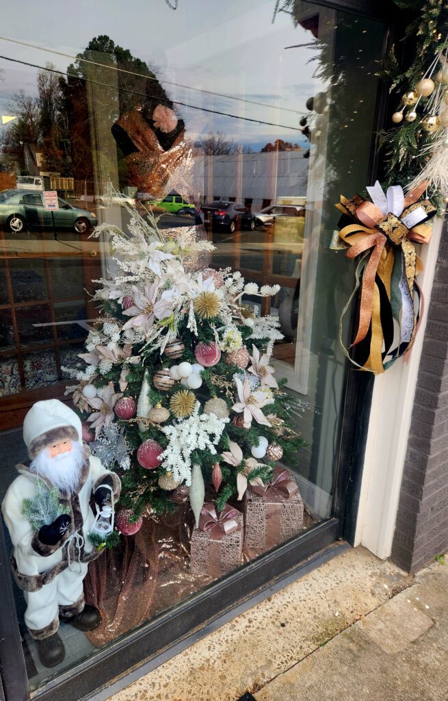 Elsyian Salon holiday window